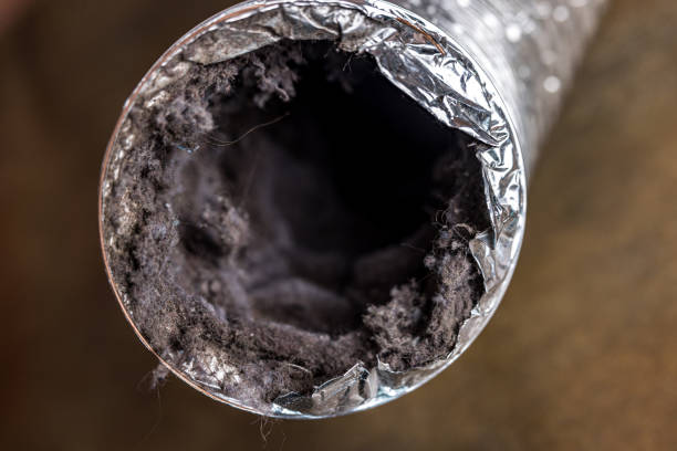 Best Commercial Air Duct Cleaning  in Mulberry, FL